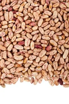 Pinto beans or mottled beans arranged in a frame Stock Photos