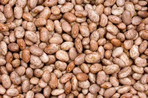 Pinto beans Stock-Fotos