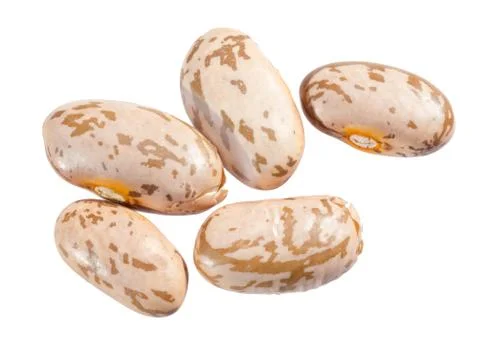 Pinto beans. Stock Photos