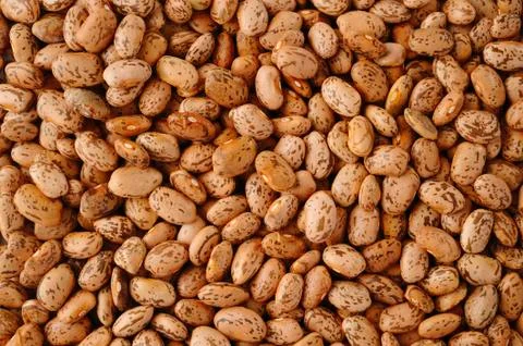 Pinto beans Stock Photos