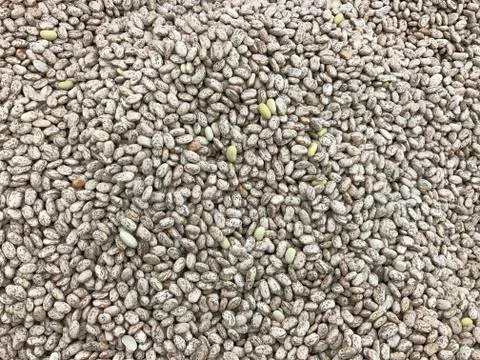 Pinto Beans Stock Photos