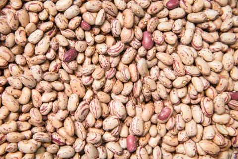 Pinto beans. Fotos de archivo