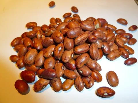 Pinto beans Stock Photos