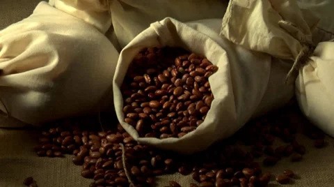 Pinto beans in a sack Stock Footage 8572355