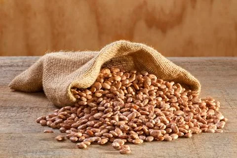 Pinto beans in sack Stock Photos