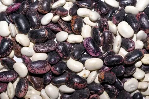 Pinto beans scattered Foto stock