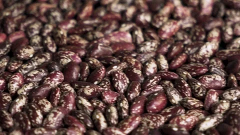 Pinto beans texture panorama slide to black background 10bit Stock Footage 333487634