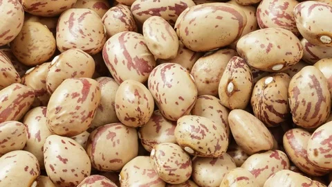 Pinto beans tracking shot Stock Footage 71069541