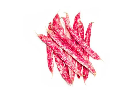 Pinto beans on a white background with copy space Foto stock