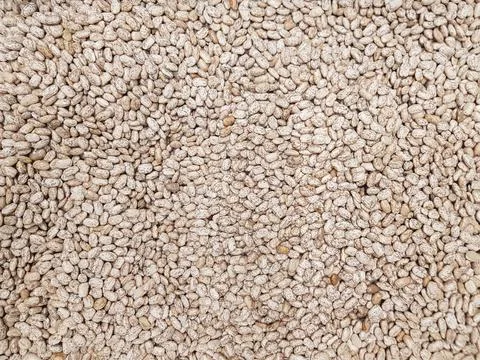 Pinto kidney bean texture background Stock Photos