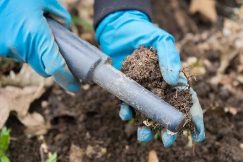 Pintpoint metal detector in hand. Pintpointer at work. Foto stock