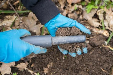 Pintpoint metal detector in hand. Pintpointer at work. Stock Photos