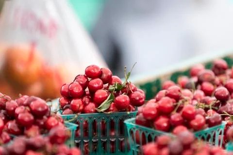 Pints of cherries Stock-Fotos