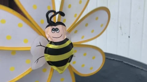 Pinwheel  bee Stock Footage 250464079