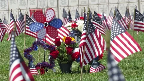 Pinwheel Video stock 154920918