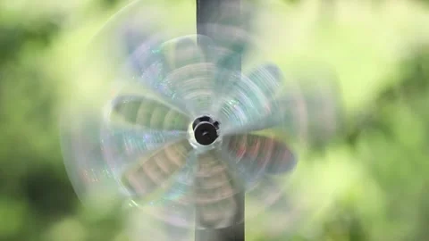 Pinwheel Stock Footage 296046633