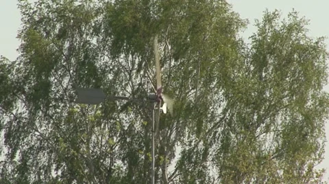 Pinwheel infront of a tree Stock Footage 53005817