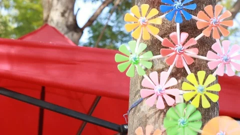 Pinwheel spining during wind come. It still on tree. Camera looking up tilt s Stock Footage 101790820