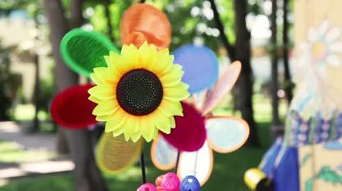 Pinwheell Video stock 11447141