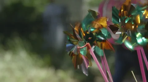 Pinwheels Stock Footage 27231047
