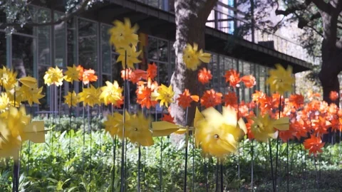 Pinwheels Stock Footage 122107164