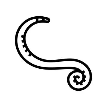 Pinworm parasite line icon vector illustration Stock-Illustration