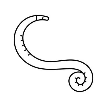 Pinworm parasite line icon vector illustration Illustrazione stock
