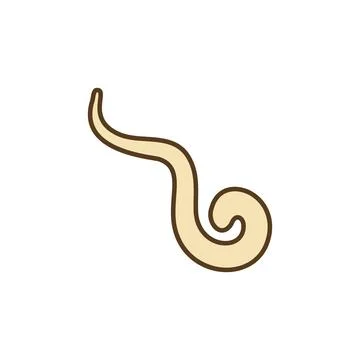 Pinworm vector concept colored icon or sign Illustrazione stock
