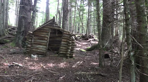 Pioneer log cabin Vidéo 27732045