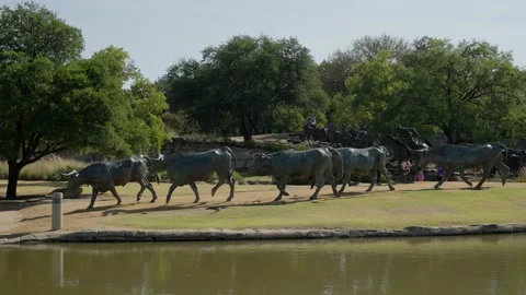 Longhorn Public Stock Footage ~ Royalty Free Stock Videos | Pond5