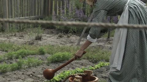 Pioneer Woman works at gardening and watering plants at Victorian Farm Stock Footage