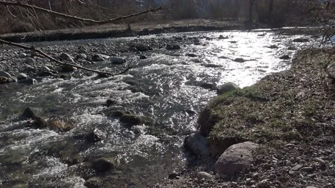 Pioverna river, backlight Vídeo Stock 150722377