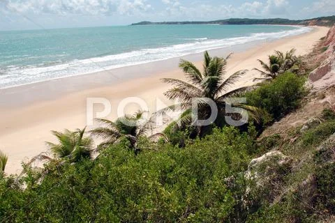 Pipa beach, Brazil Stock Photos