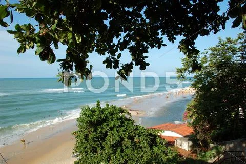 Pipa beach, Brazil Stock Photos