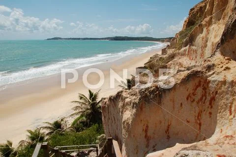 Pipa, Brazil, tropical beach Stock Photos
