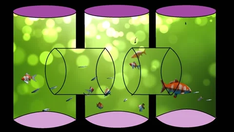 Pipe and fish. Stock-Footage 136168399