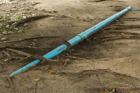Pipe and root Stock Photos
