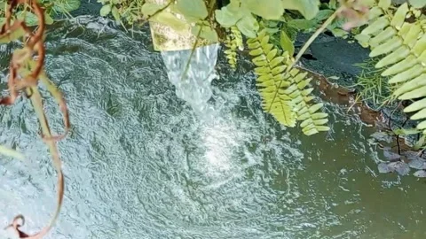 The pipe discharges water, flows into a river whose water is green Stock Footage 224492169