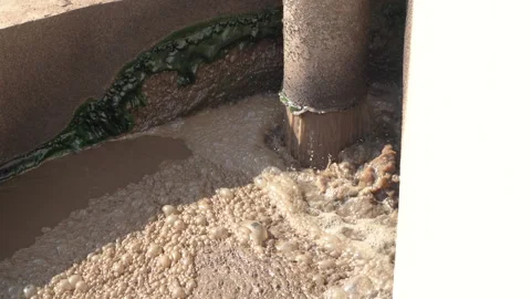 Pipe Discharging Foaming Activated Sludge into Wastewater Aeration Tank Vídeos de archivo 334880654