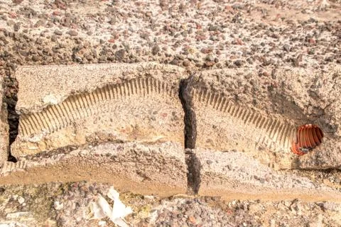 Pipe Fossil Stock Photos