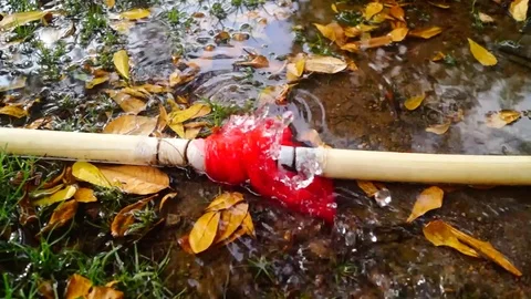 The pipe in the grass is leaking water Stock Footage 69822227
