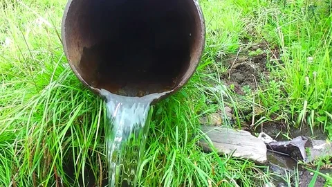 Pipe in herb from which flows water Stock Footage 113671498