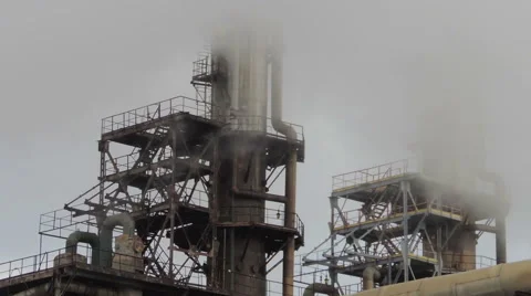 Pipe plant Stockbeeldmateriaal 45587962