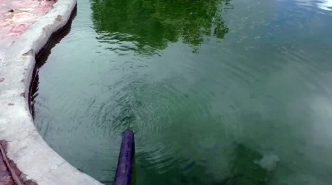 A pipe pouring water into a pool Stock Footage 48909793