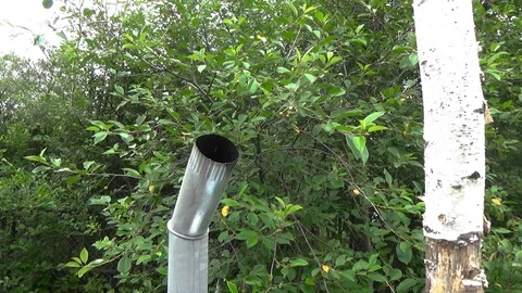 The pipe is put on the samovar Vidéo 114757448