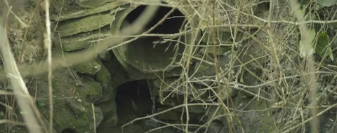 A pipe is seen through a bush Stock Footage 296096687