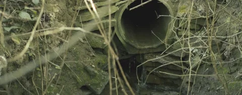 A pipe is shown in a muddy area with a lot of weeds and grass Stock Footage 296096622