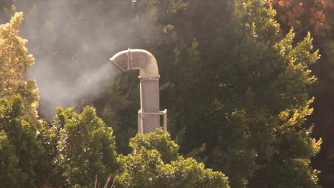 A pipe smokes between the foliage of trees 스톡 동영상 155359899