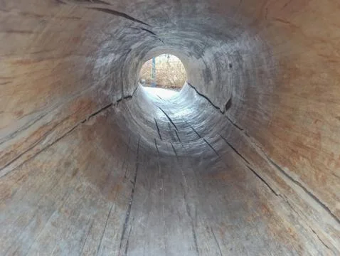 A pipe from a tree. Processed tree, empty inside. Place for text Stock Photos