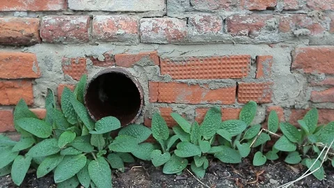 Pipe from the wall 02 Stock Footage 106490813